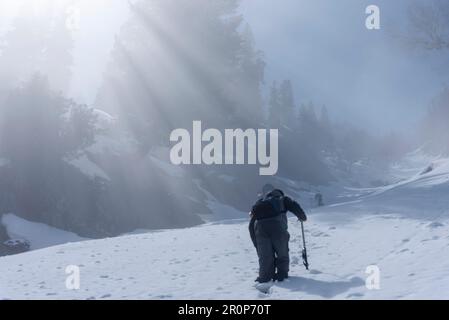 Una passeggiata a piedi sulla montagna coperta di neve ad un'altitudine di 3350 m lungo il tragitto per il lago Sorus nel Kashmir Sud. L'incantevole lago di Sorus si trova ad un'altezza di circa 3.750 metri che continua ad affascinare i visitatori soprattutto durante la stagione primaverile, quando l'incantevole lago è circondato dalla vista di maestose montagne innevate. Nella regione montuosa del Kashmir, il trekking è una popolare attività all'aperto che prevede escursioni o passeggiate attraverso terreni accidentati, spesso per un periodo prolungato. E' un ottimo modo per vivere la natura, sfidarsi fisicamente e senta Foto Stock