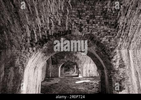 Il calcare si affaccia sulle arcate in mattoni dello storico Fort Pickens, nel Gulf Islands National Seashore, vicino a Pensacola Beach, Florida. (nero e wh Foto Stock