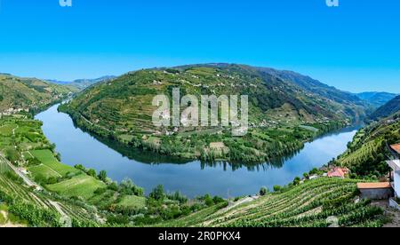 Curva panoramica del fiume Douro a Mesao frio nella regione di Porto Foto Stock