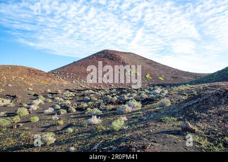 Lava fredda in dettaglio nel parco nazionale di Timanfaya a Lanzarote con vegetazione sparsa come cespuglio e piante resistenti, Spagna Foto Stock