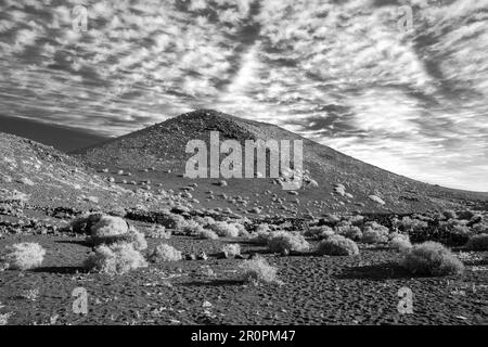 Lava fredda in dettaglio nel parco nazionale di Timanfaya a Lanzarote con vegetazione sparsa come cespuglio e piante resistenti, Spagna Foto Stock