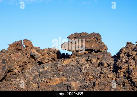 Lava fredda nel dettaglio nel parco nazionale Timanfaya di Lanzarote sembra una testa animale, Spagna Foto Stock