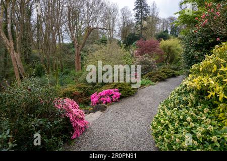 Plas Cadnant Hidden Gardens un bellissimo giardino a Menai Bridge, Anglesey, Galles del Nord. Aperto al pubblico regolarmente è pieno di interesse. Foto Stock