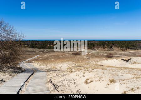 Sentiero in legno sulle dune morte, o dune grigie, curonian Spit, Neringa, Lituania Foto Stock