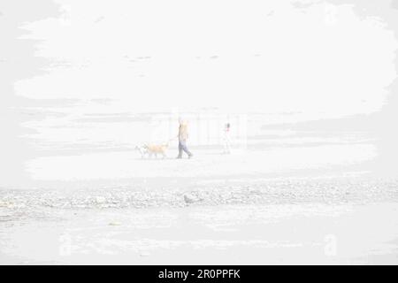 Camminare il cane su una spiaggia nebbiosa. Corporation Beach, Cape Cod, Massachusetts, Stati Uniti Foto Stock