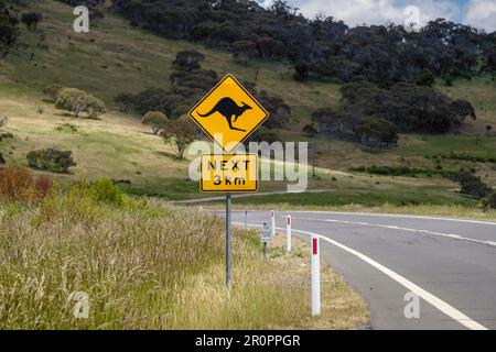 Un cartello di avvertimento canguro sulla Alpine Way in direzione delle Snowy Mountains, New South Wales, Australia Foto Stock