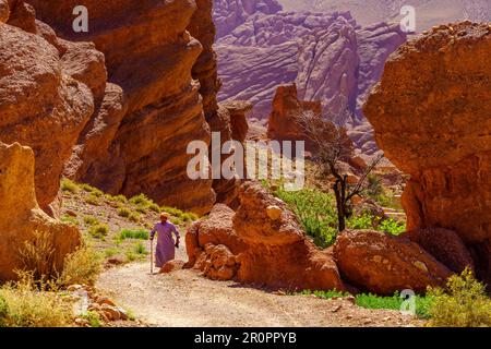 AIT Ouglif, Marocco - 03 aprile 2023: Vista di varie formazioni rocciose, con un locale, nella Gola di Dades, le montagne dell'Alto Atlante, Marocco centrale Foto Stock