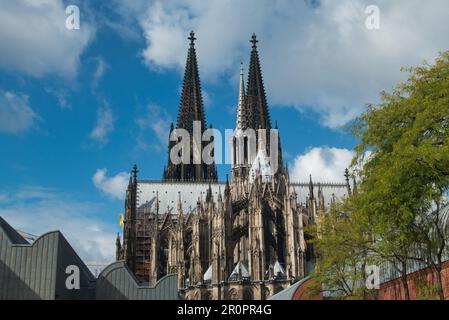 La città di Colonia sul Reno: Vista sulla cattedrale Foto Stock