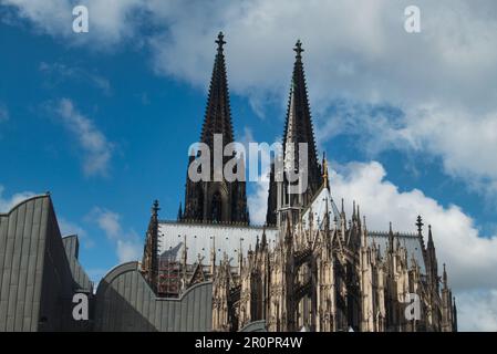 La città di Colonia sul Reno: Vista sulla cattedrale Foto Stock