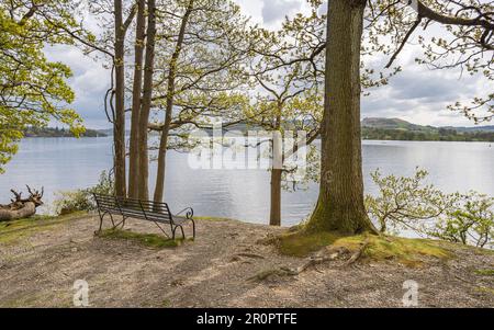 Una panchina raffigurata sulla cima di Jenkins Crag vicino ad Ambleside che si affaccia sul Lago Windermere nel Distretto dei Laghi. Foto Stock