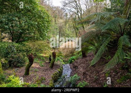 Plas Cadnant Hidden Gardens un bellissimo giardino a Menai Bridge, Anglesey, Galles del Nord. Aperto al pubblico regolarmente è pieno di interesse. Foto Stock