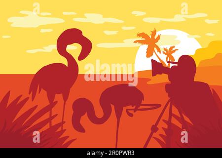 Fotografo fotografie fenicottero in natura. Panorama tropicale della fauna selvatica. Scena naturale. Palm Island. Videografo in viaggio. Alba del mattino. Vettore Illustrazione Vettoriale