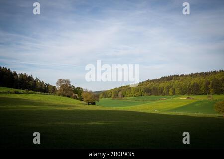Paesaggio idilliaco in primavera, Altmühltal, Baviera, Germania Foto Stock