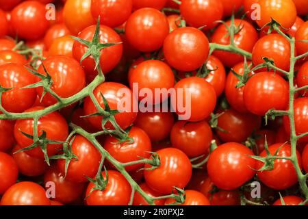 Pomodori ciliegini rossi su rametti verdi, verdure fresche nel mercato Foto Stock