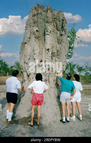 Tumulo di termiti giganti, o 'Cattedrale', Parco Nazionale di Kakadu, territorio del Nord, Australia Foto Stock