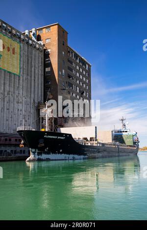 Ex silos Robin Hood e mulino a Port Colborne Ontario. Foto Stock