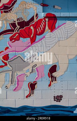 Arte murale non identificata nel quartiere Mount Pleasant di Vancouver Canada Foto Stock