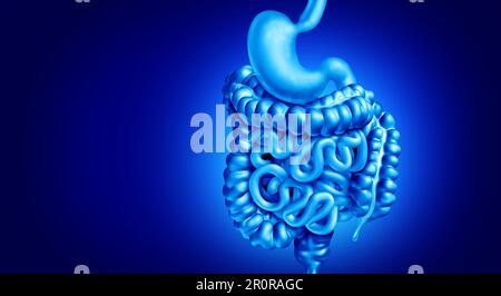 Sistema di digestione umana come organi per la scomposizione degli alimenti nutrienti assorbenti ed eliminare rifiuti e disturbi dello stomaco come intestino e colon Foto Stock