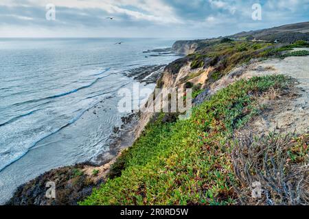 Cliffs Beach vicino a Davenport, Santa Cruz County, California, Stati Uniti Foto Stock