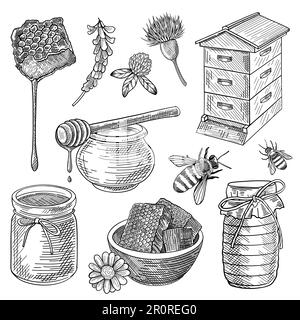 Ape, miele in vaso, alveare, nido d'ape, cucchiaio, fiori, set Illustrazione Vettoriale