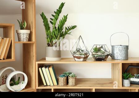 Scaffale con libri e piante da casa all'interno della luce camera Foto  stock - Alamy