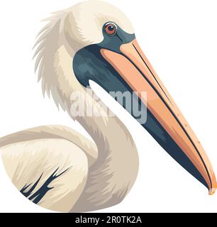 Pelican che vola sopra il becco d'acqua e la grazia piuma Illustrazione Vettoriale