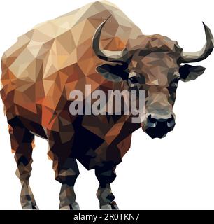 toro cornato che pascola nella scena dei pascoli rurali Illustrazione Vettoriale