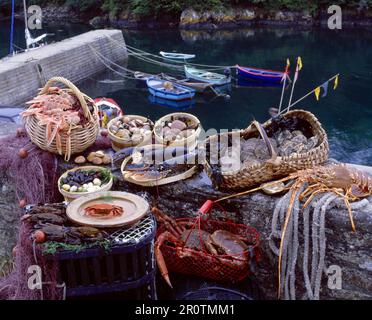 Frutti di mare Foto Stock