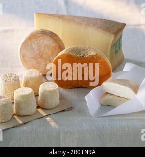 Selezione di formaggi Foto Stock