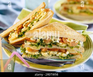 Sessione plenaria a Strasburgo dal club sandwich Foto Stock