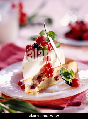 Torta di Spagna al cioccolato bianco con frutta estiva Foto Stock