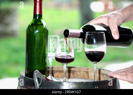 Versare il vino rosso in un bicchiere Foto Stock