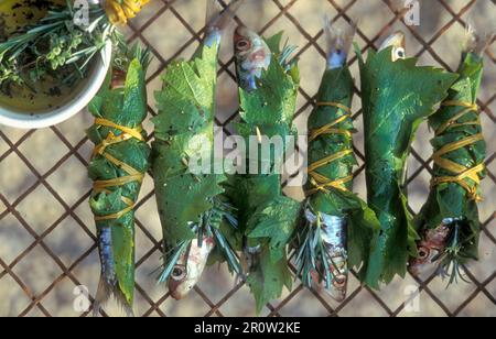 Sardine avvolte in foglie di vite pronte per essere grigliate su una rastrelliera metallica con una ciotola di olio d'oliva ed erbe fresche di Provenza Foto Stock