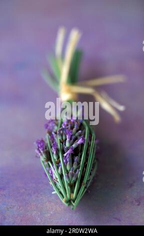 Mazzo di lavanda a forma di freccia Foto Stock