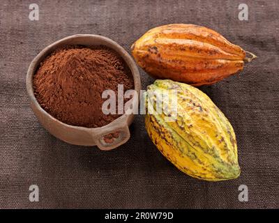 Cacao in grani e in polvere Foto Stock