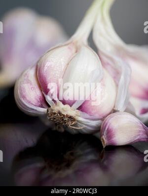 Teste d'aglio Foto Stock