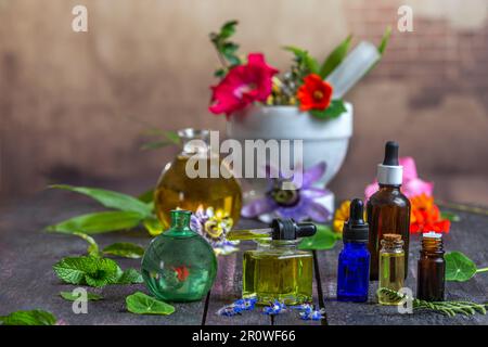 Vari oli essenziali in fiale circondate da piante medicinali e fiori Foto Stock