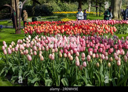 Keukenhof, Lisse Paesi Bassi - 18 aprile 2023: Visitatori al Giardino Keukenhof di Lisse, Paesi Bassi. Foto Stock