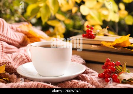 Tazza di tè aromatico, libri e viburnum su morbido maglione rosa. Atmosfera autunnale Foto Stock