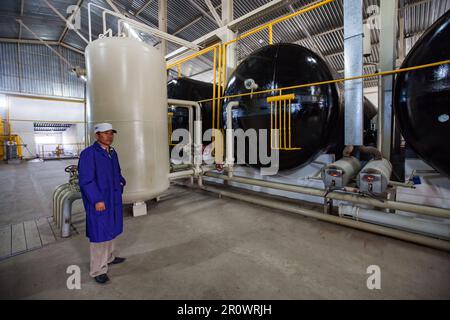 Provincia di Jambyl, Kazakistan - 24 aprile 2012: Impianto di biogas moderno. Reattori e forni per serbatoi di gas. Operatore in abbigliamento da lavoro blu Foto Stock