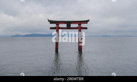 Il cancello galleggiante del Santuario di Shirahige sorge sul Lago Biwa Foto Stock