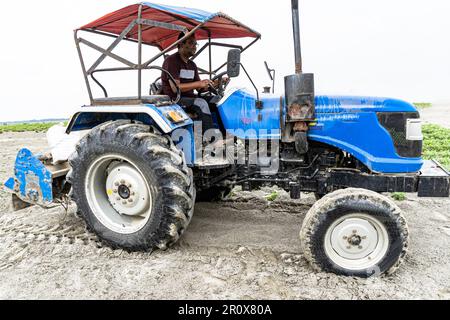 Un agricoltore del Bangladesh che lavora con un trattore in campi agricoli. Buon contadino seduto su un trattore Foto Stock