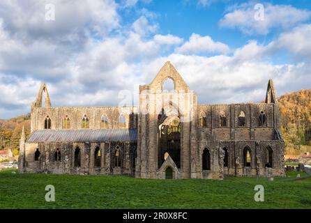 Le rovine di Tintern Abbey, fondata nel 1131 dai monaci cistercensi, Monmouthshire, Galles Foto Stock