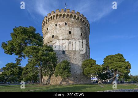 Torre bianca di Salonicco, Grecia, famoso punto di riferimento tra pini e destinazione di viaggio per i turisti in città, cielo blu in una giornata di sole, copia Foto Stock