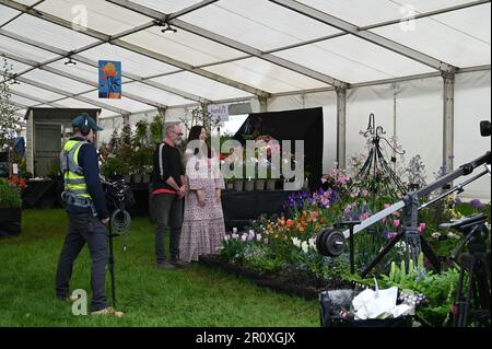 Malvern, Worcestershire, Regno Unito. 10th maggio 2023. Primavera Malvern lato destro. TV presentatore Rachel de Thame ammirando una mostra floreale in vista del RHS Malvern Spring Festival a partire da questo Giovedi. Credit Simon Maycock / Alamy Live News. Foto Stock