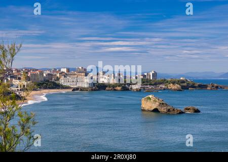 La Grande Plage et la plage Miramar a Biarritz, Paesi Baschi francesi, Pirenei Atlantici, Francia Foto Stock