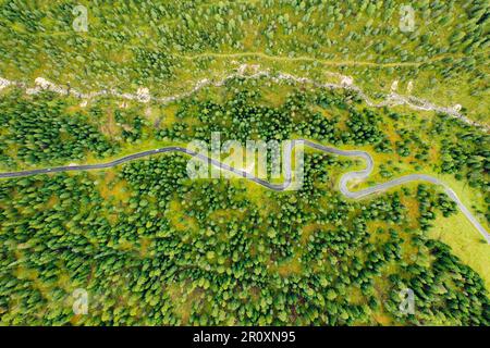 Vista aerea di Snake Road mozzafiato, circondata da splendide foreste e colorati prati autunnali. Foto Stock