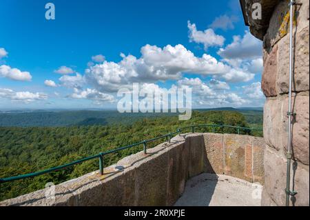 Vista dalla Torre Luitpold sulla foresta del Palatinato, Merzalben, Palatinato, Renania-Palatinato, Germania, Europa Foto Stock