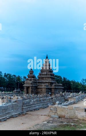 Le sculture sulle pareti e l'eccezionale ingegneria vecchio stile del tempio sul mare di Mahabalipuram lo distinguono dagli altri templi Foto Stock