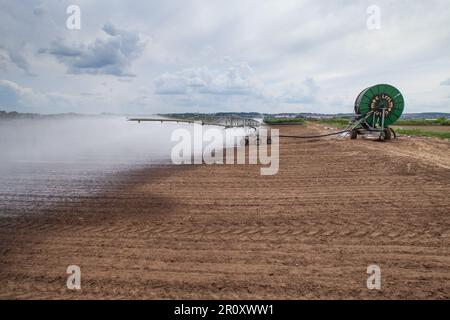 Zhukovskiy, provincia di Mosca - 20 giugno 2022: Sistema di irrigazione Irrimec su campo agricolo Foto Stock